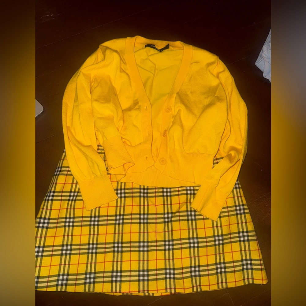 Clueless Cher Costume